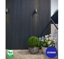 [SAMPLE] Outdoor facade panel, WPC, 219x2900 mm, BLACK, wood grain texture