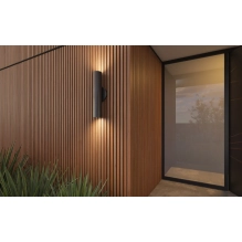 WPC fasadni panel TEAK/ČRNA, 219x2900 mm, valovita tekstura, half co-extrusion (0,63 m²)