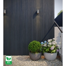 WPC facade panel, 219x2900 mm, BLACK FLAT texture (0.63 m²)
